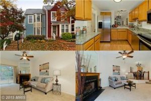 11906 CROSSWIND CT, RESTON, VA 20194