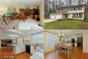 8491 MIDDLE RUN DR, SPRINGFIELD, VA 22153