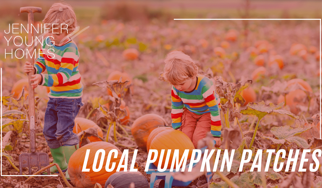 Local Pumpkin Patches