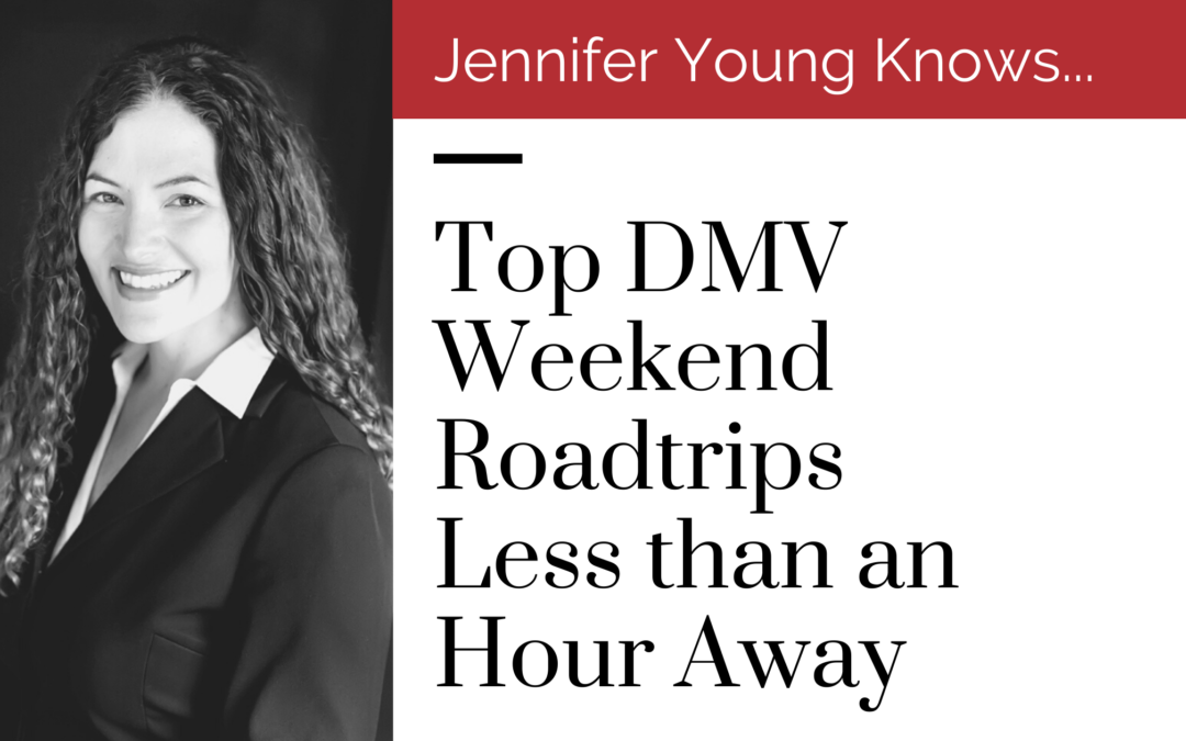 The 10 Best Summer Road Trips from DC