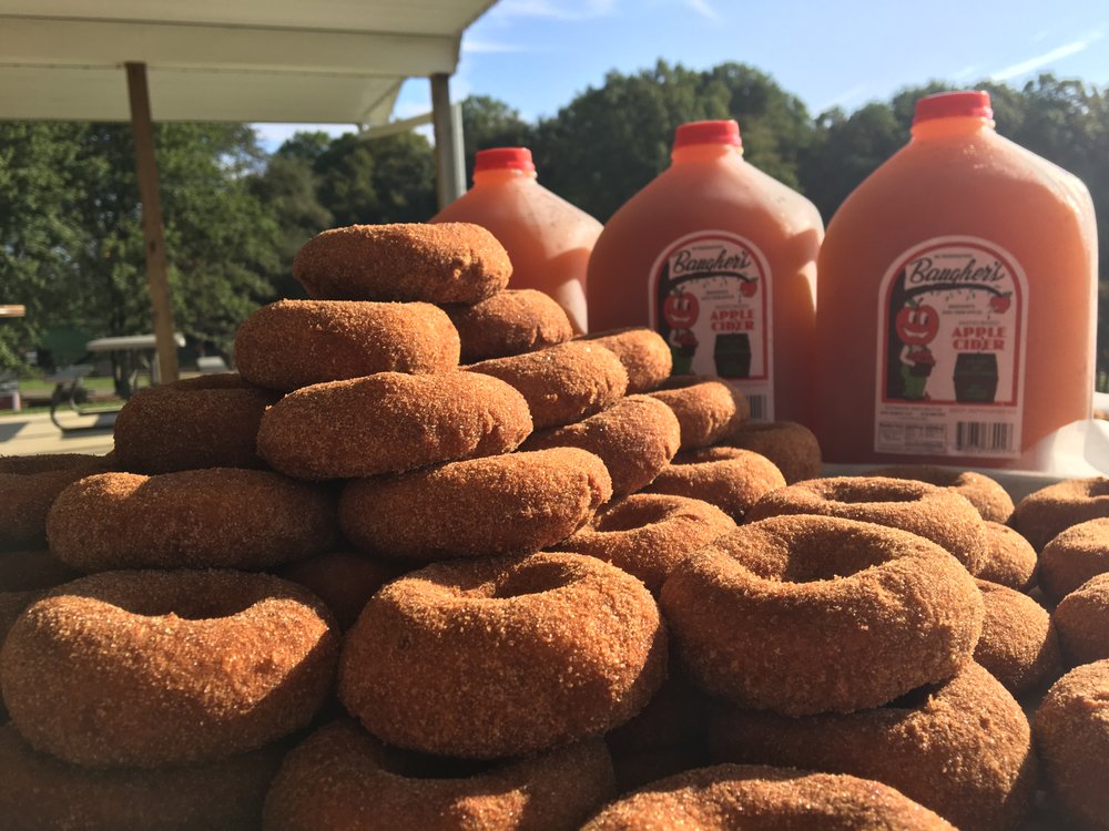 stack of apple cider doughnuts in front of 3 gallons of local apple cider vinegar