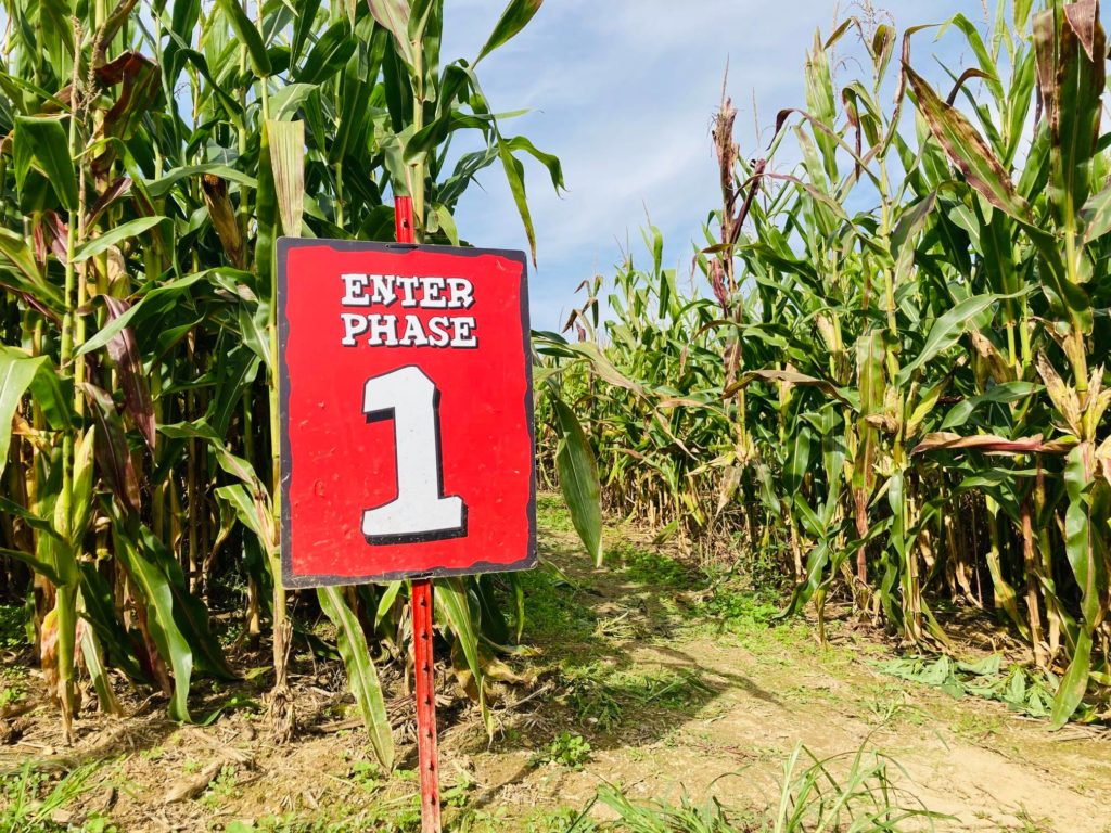 entrance to corn maze with sign that reads "enter phase 1"
