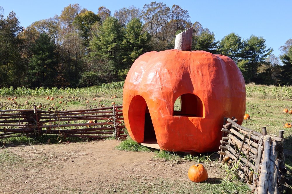 huge pumpkin house