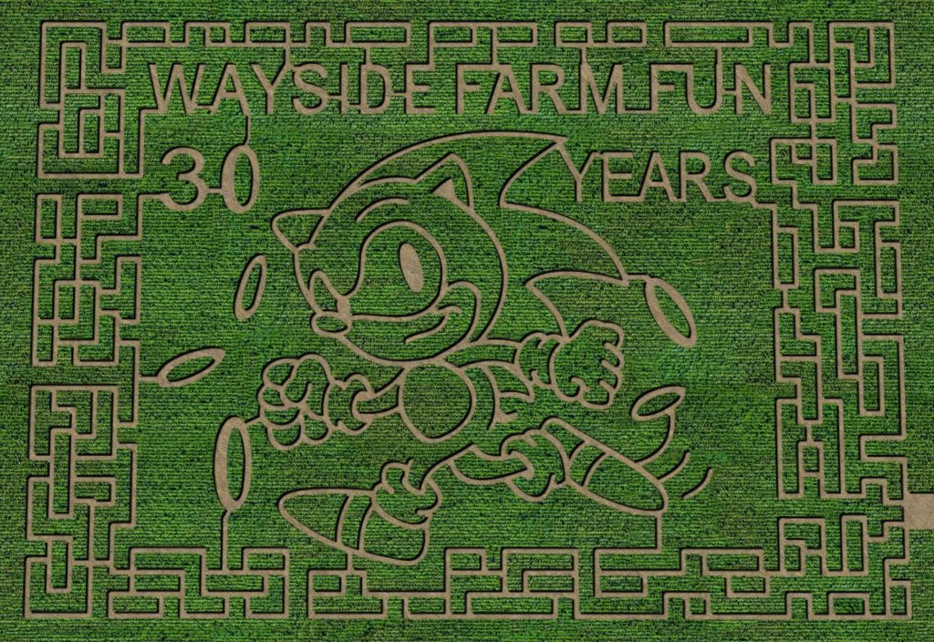 overview of 10-acre corn maze, carved out with a picture of Sonic & with the wording "Wayside Farm Fun" 30 Years