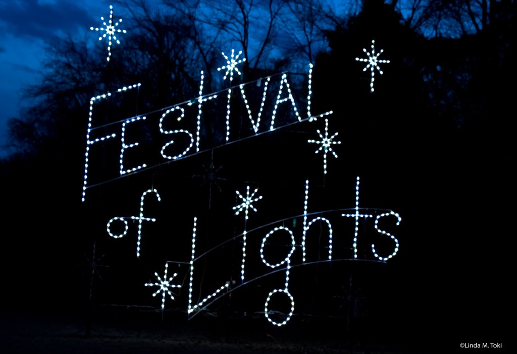 "festival of lights" light display 
