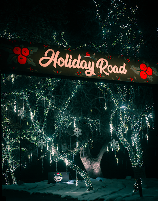entrance to holiday road light display