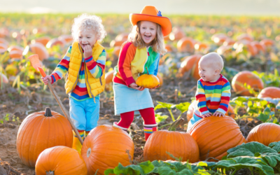 Our Favorite DMV Pumpkin Patches!