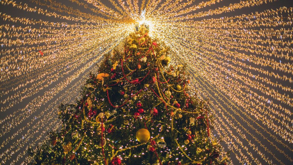 National Christmas Tree in Washington DC