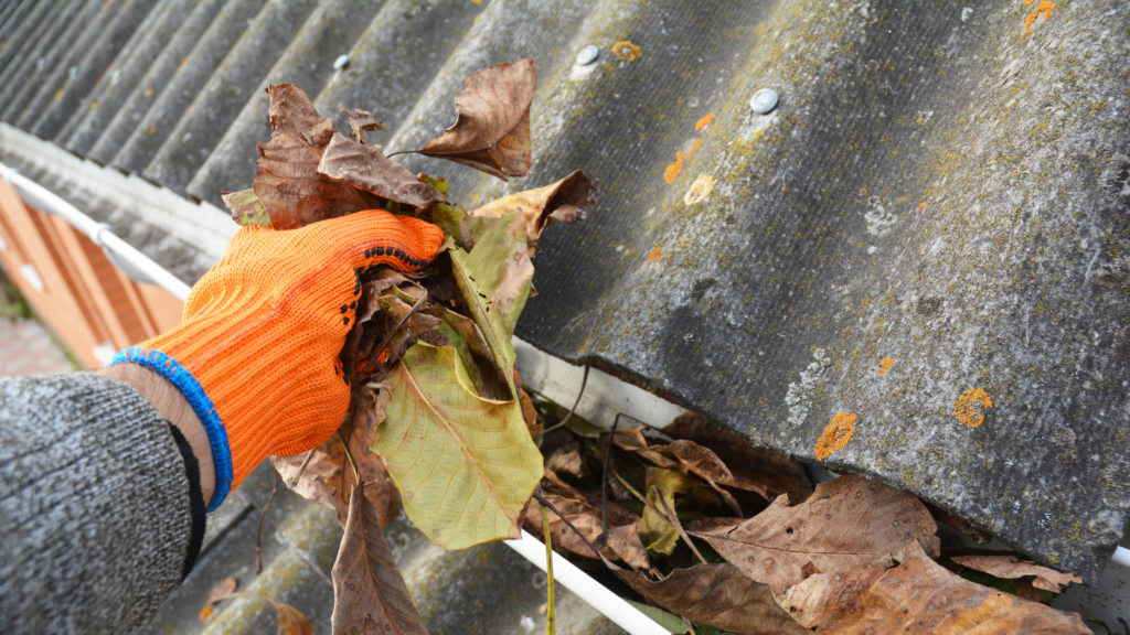 Cleaning out the Gutters of a Home