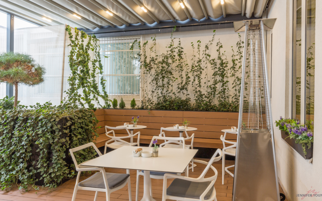Patio Perfection: DC’s Best Outdoor Brunch Spots