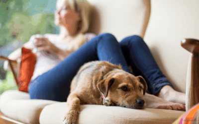 Sell & Stay Program: How to Sell Your Home Without Having to Move