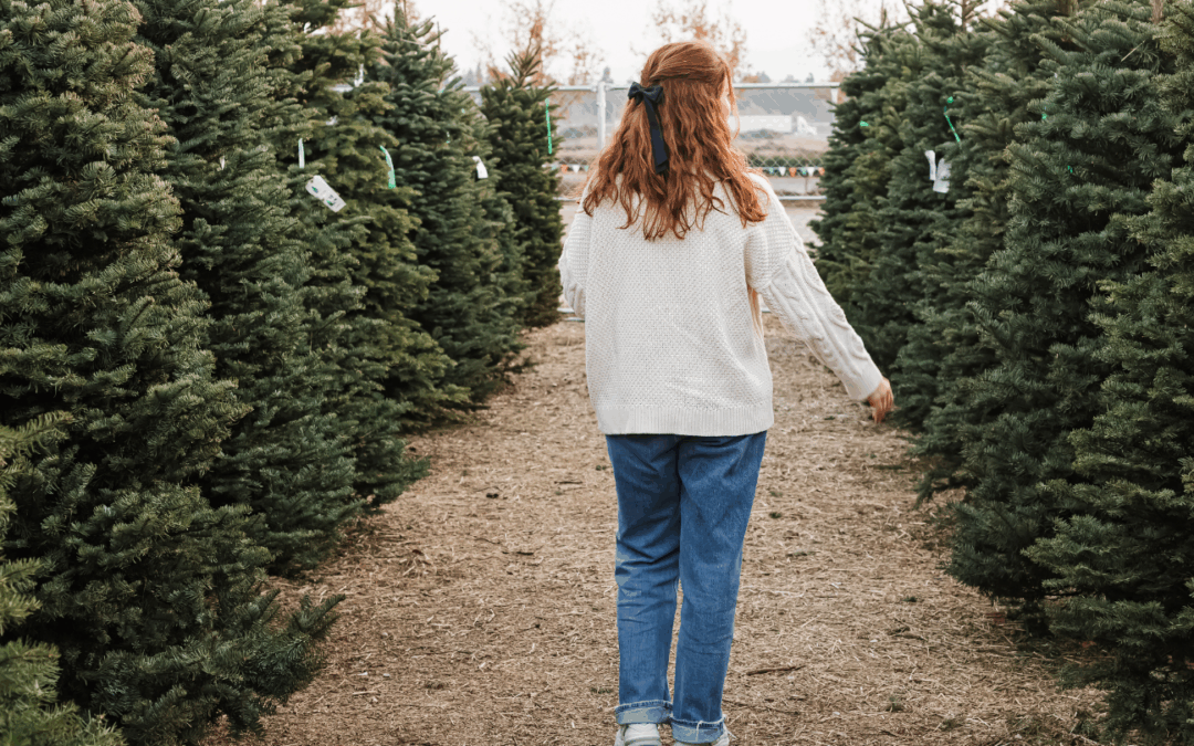 DMV Christmas Tree Guide: Tree Farms, Local Lots & Home-Prep Tips