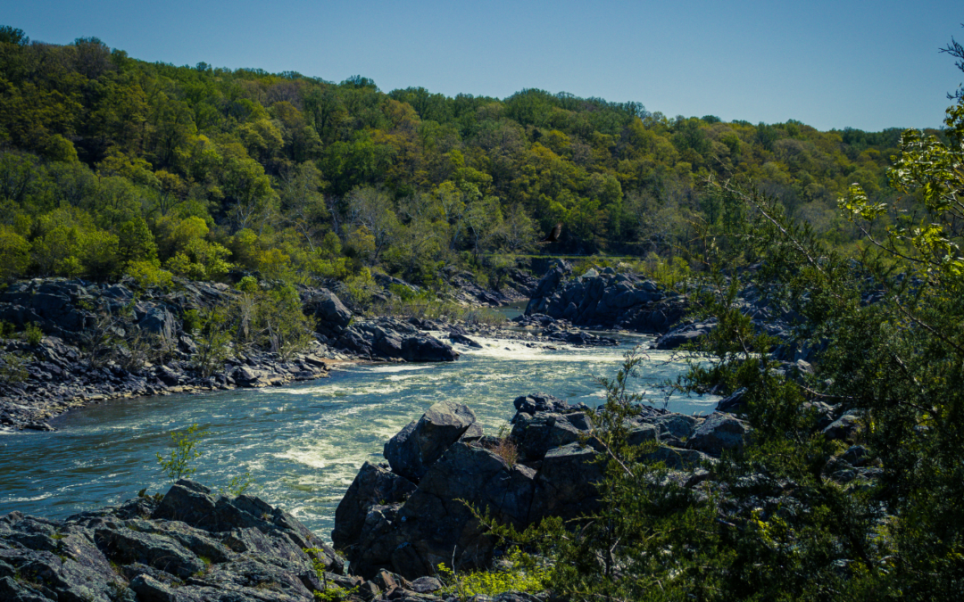 Weekend Escapes from DC That Feel Like a True Reset