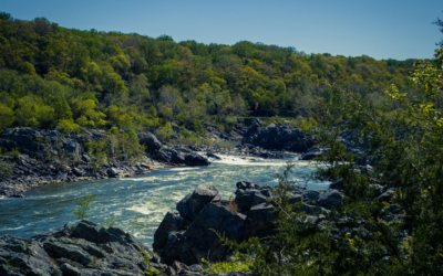 Weekend Escapes from DC That Feel Like a True Reset