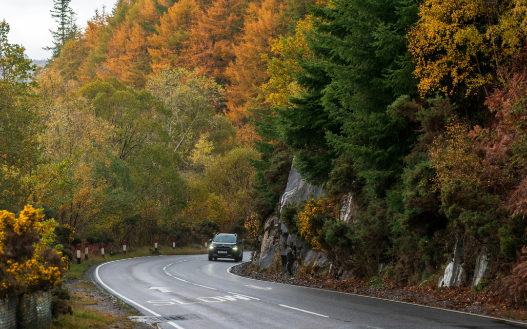 Take the Scenic Route: The DMV’s Most Beautiful Drives