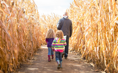 A-Maze-ing Autumn: Get Lost in the DMV’s Best Corn Mazes